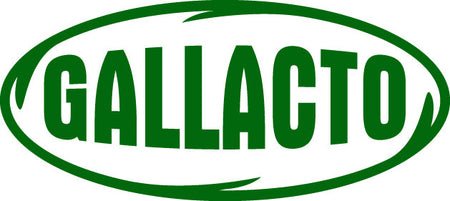 Gallacto Global Snacks