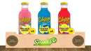 Calypso Mixed Case of Three Lemonade Flavors 473ml (Pack of 12) Global Snacks