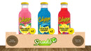 Calypso Mixed Case of Three Lemonade Flavors - 473ml (Pack of 6) Global Snacks