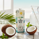 CecilBio Organic 100% Coconut Water 1 Litre Pack of 06 Natural Hydration Pure & Additive-Free for Daily Hydration