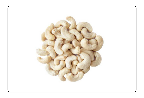 Raw cashew outlet suppliers