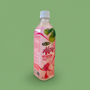 Ygo Ygo Aloe Vera with Lychee Flavour 500ml X 12